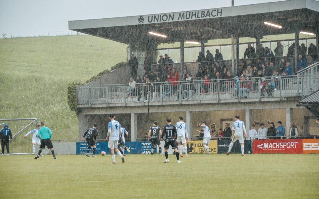 Runde 24: SPG – Blaue Elf Linz 1:3 (0:1)